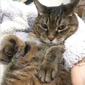 Meet your Posher, Hsinping